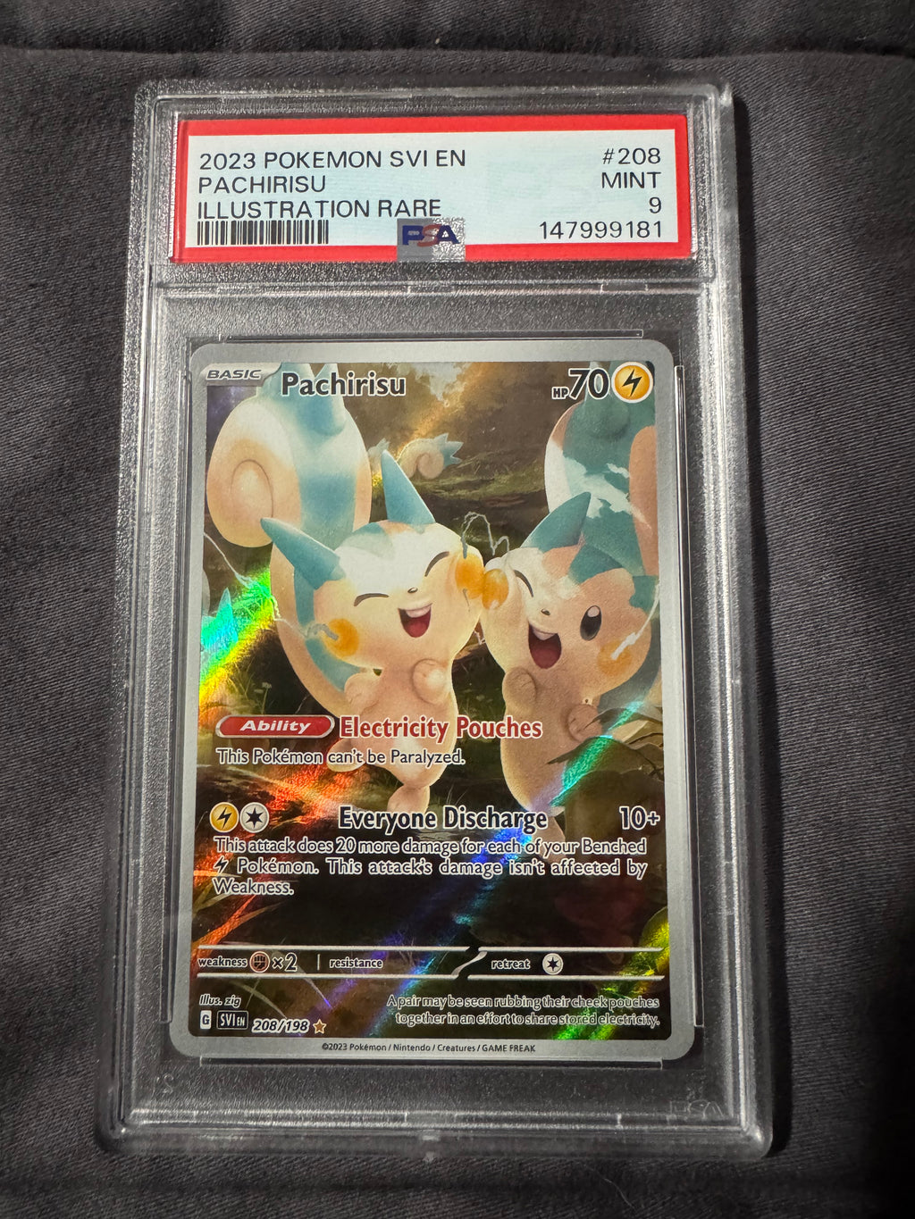 POKEMON TCG: SVI EN-SCARLET & VIOLET #208 PACHIRISU ILLUSTRATION RARE