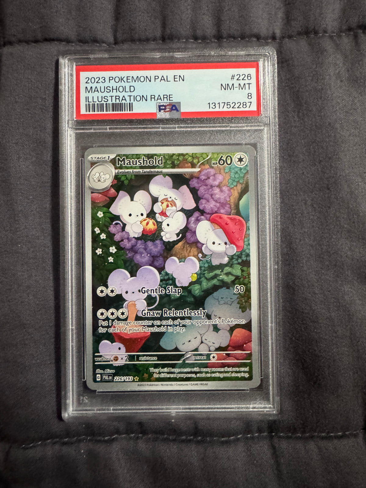 Pokémon TCG: Maushold Illustration Rare PSA 8