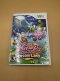 Kirby’s Return to Dreamland CiB
