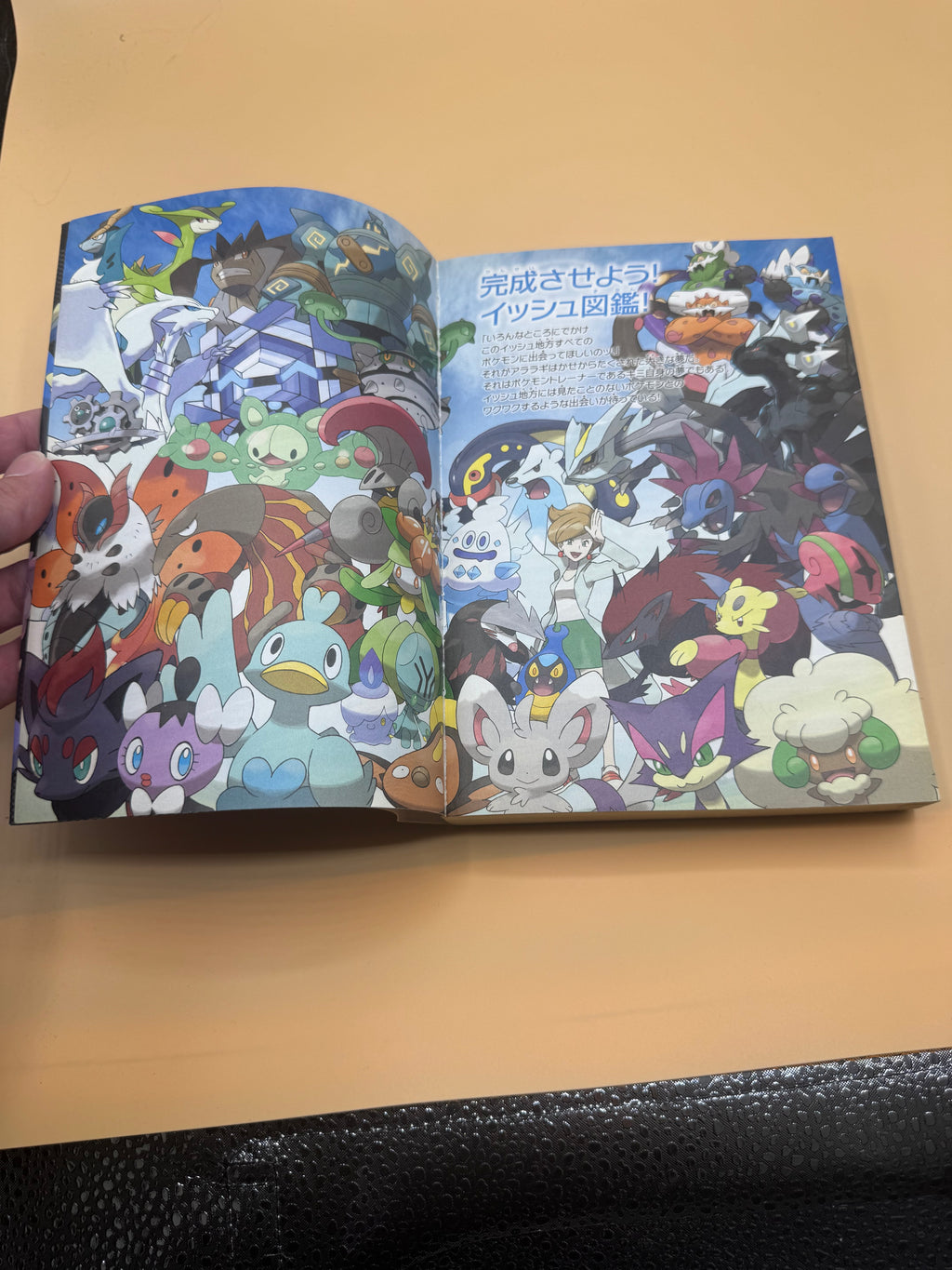 Pokémon Black and White Official Unova Pokédex Completion Guide (Japanese import)