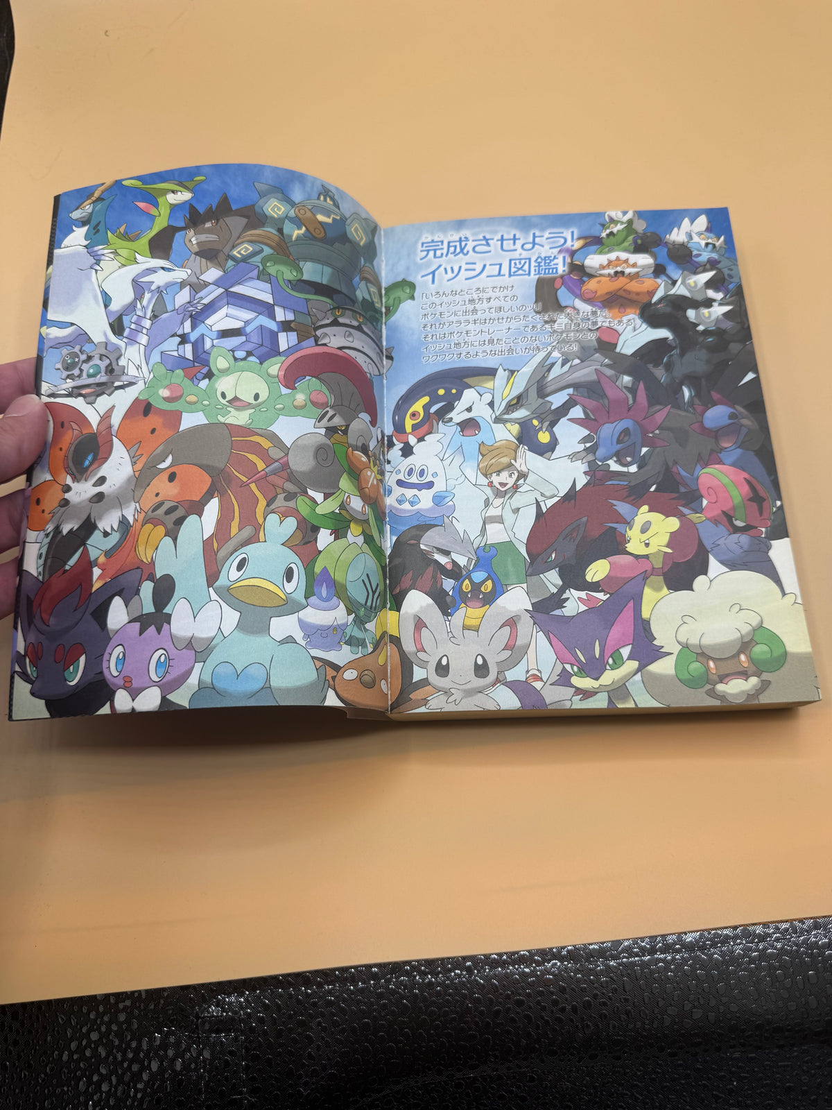 Pokémon Black and White Official Unova Pokédex Completion Guide (Japanese import)