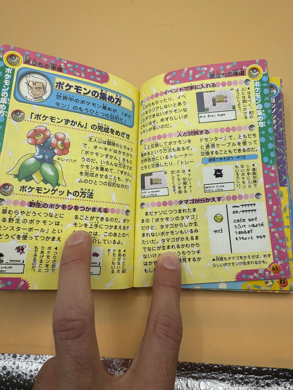 Vintage Pokémon Gold and Silver: Strongest Scenario Clear Adventure Guide Book (Japanese import)