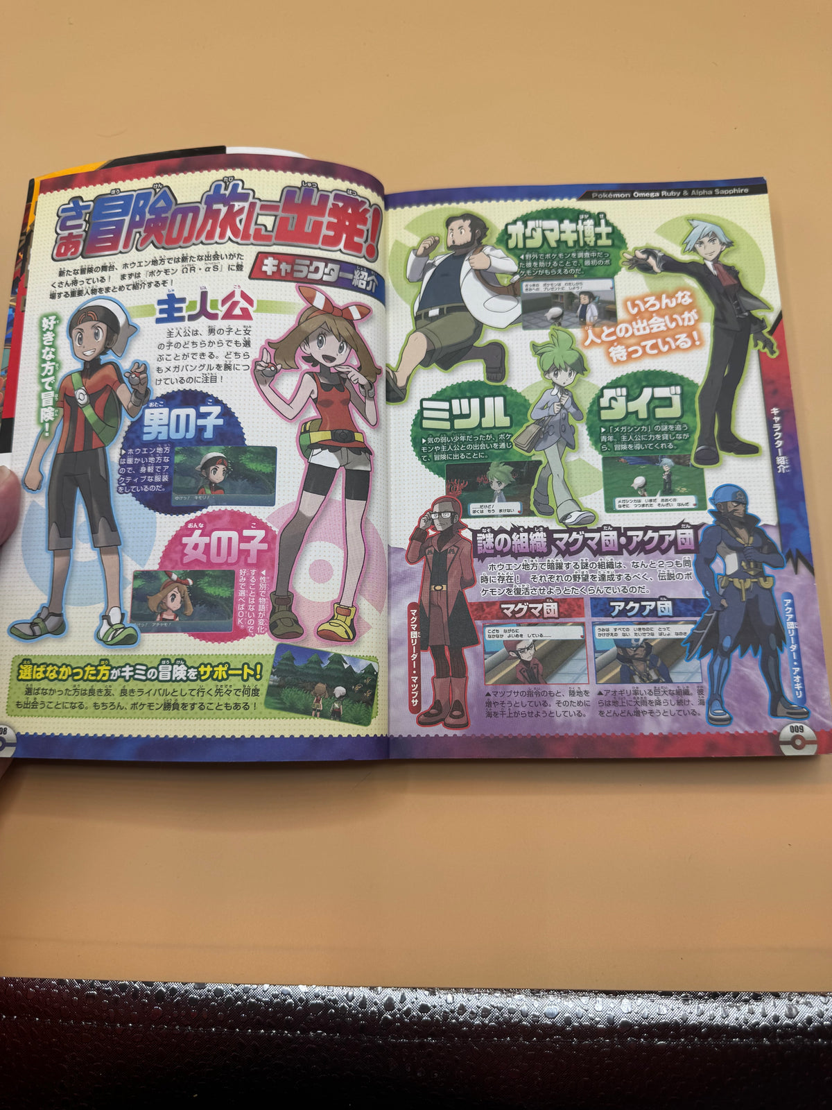 Pokémon Omega Ruby & Alpha Sapphire "Kantan Clear Guide" (Japanese import)
