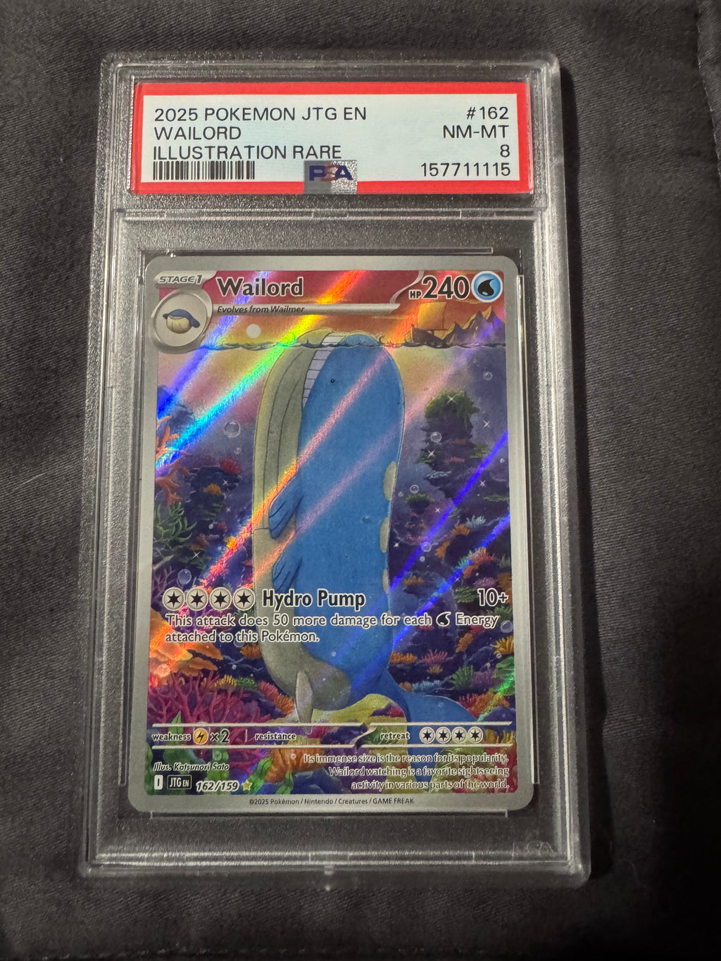 POKEMON TCG: MEP EN-MEGA EVOLUTION BLACK STAR PROMOS #024 ORICORIO ex ULTRA-PREMIUM COLLECTION
