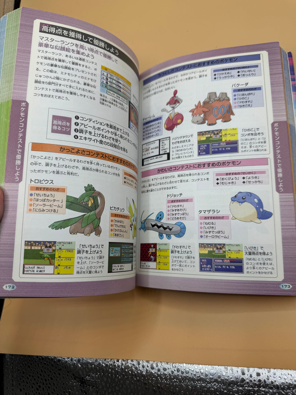 Vintage Pokémon Ruby & Sapphire Official Pokédex Complete Guide (Japanese import)
