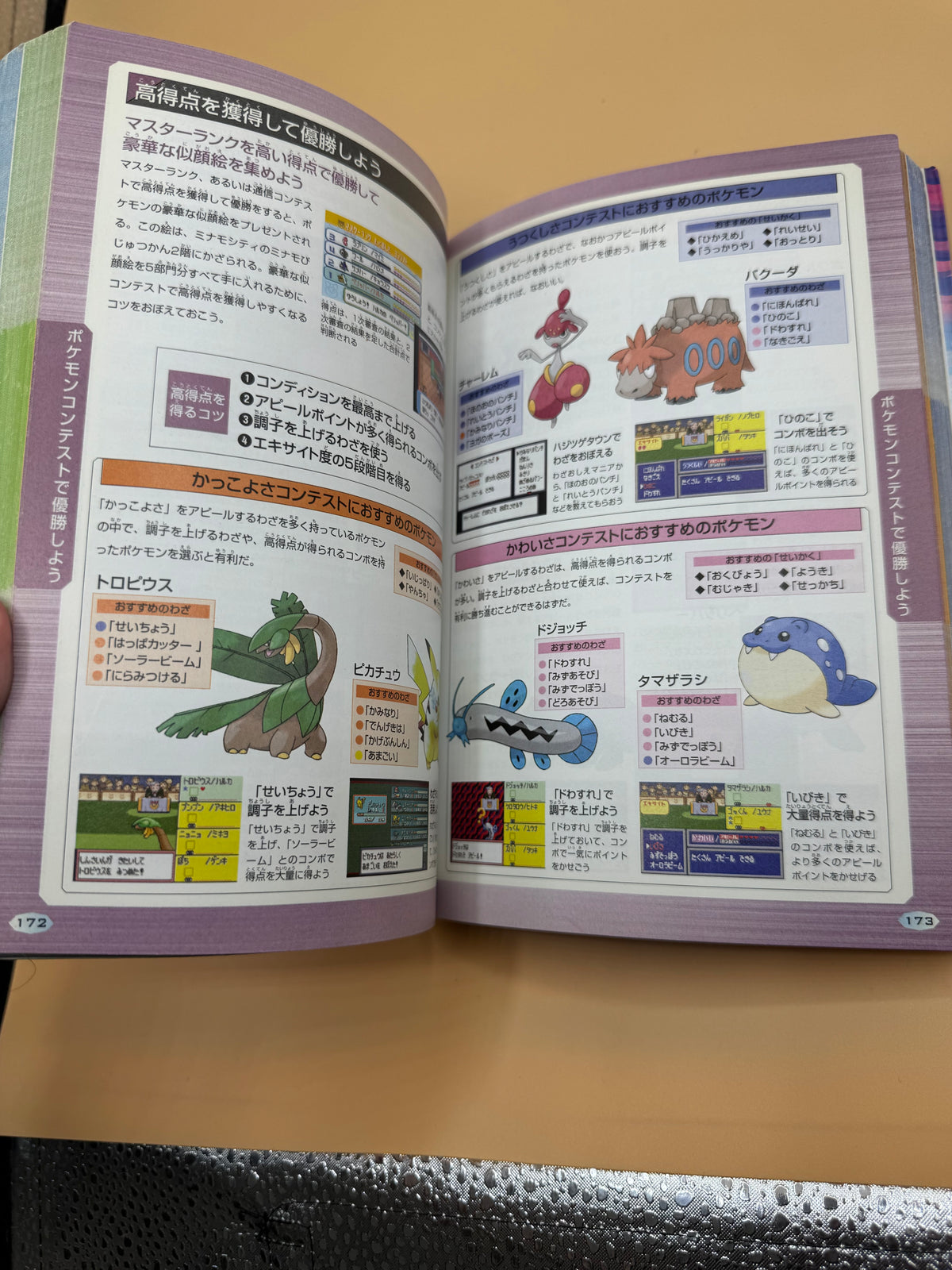 Vintage Pokémon Ruby & Sapphire Official Pokédex Complete Guide (Japanese import)