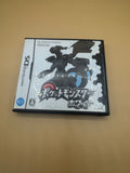 Pokémon Black (Japanese)