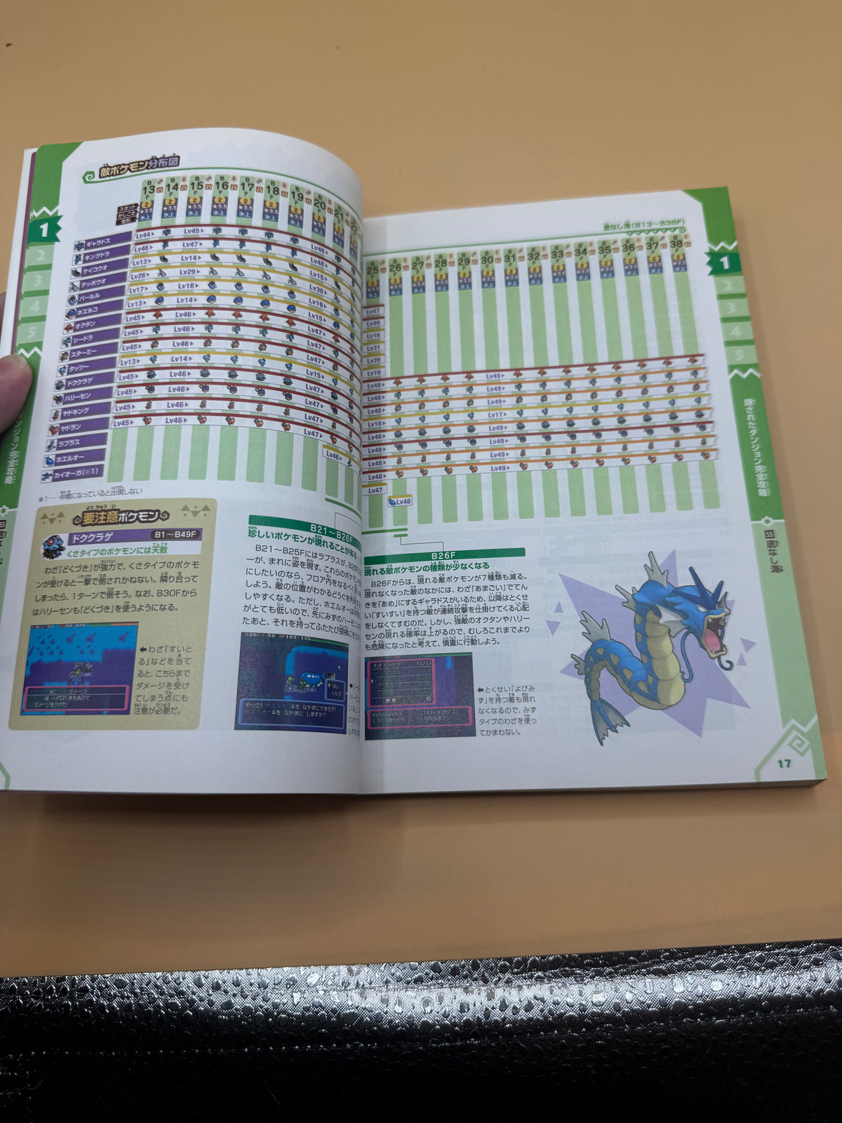 Pokémon Mystery Dungeon: Explorers of Time & Explorers of Darkness Official Extra Guide (Japanese import)