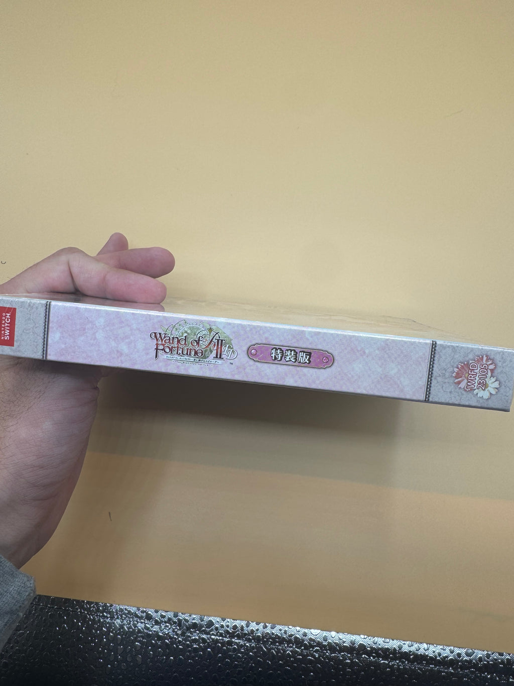 Special Edition of Wand of Fortune R2 FD: Kimi ni Sasageru Epilogue