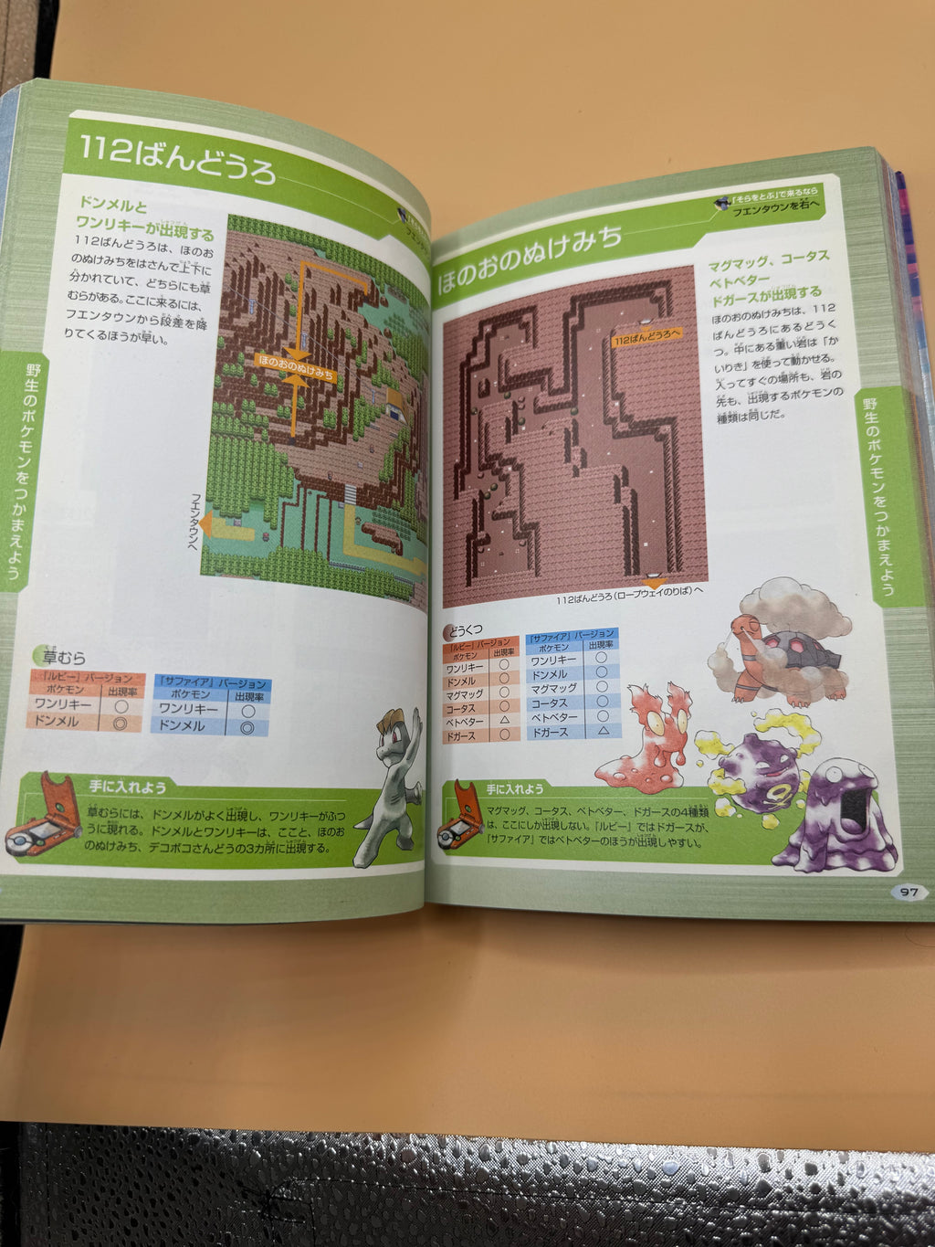 Vintage Pokémon Ruby & Sapphire Official Pokédex Complete Guide (Japanese import)