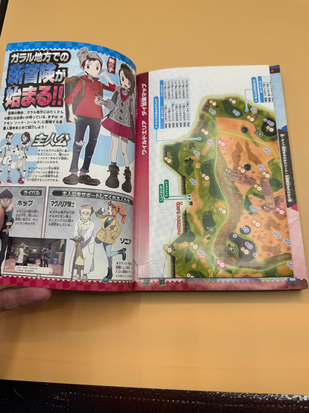 Corocoro Comic Special edition: Pokémon Sword & Shield Saisoku Dai Kouryaku Guide (Japanese import)