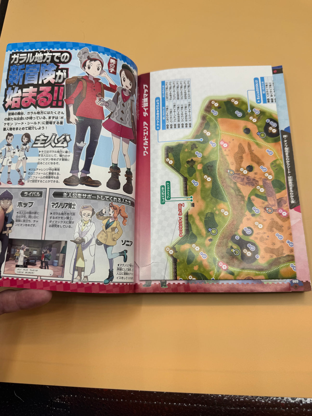 Corocoro Comic Special edition: Pokémon Sword & Shield Saisoku Dai Kouryaku Guide (Japanese import)