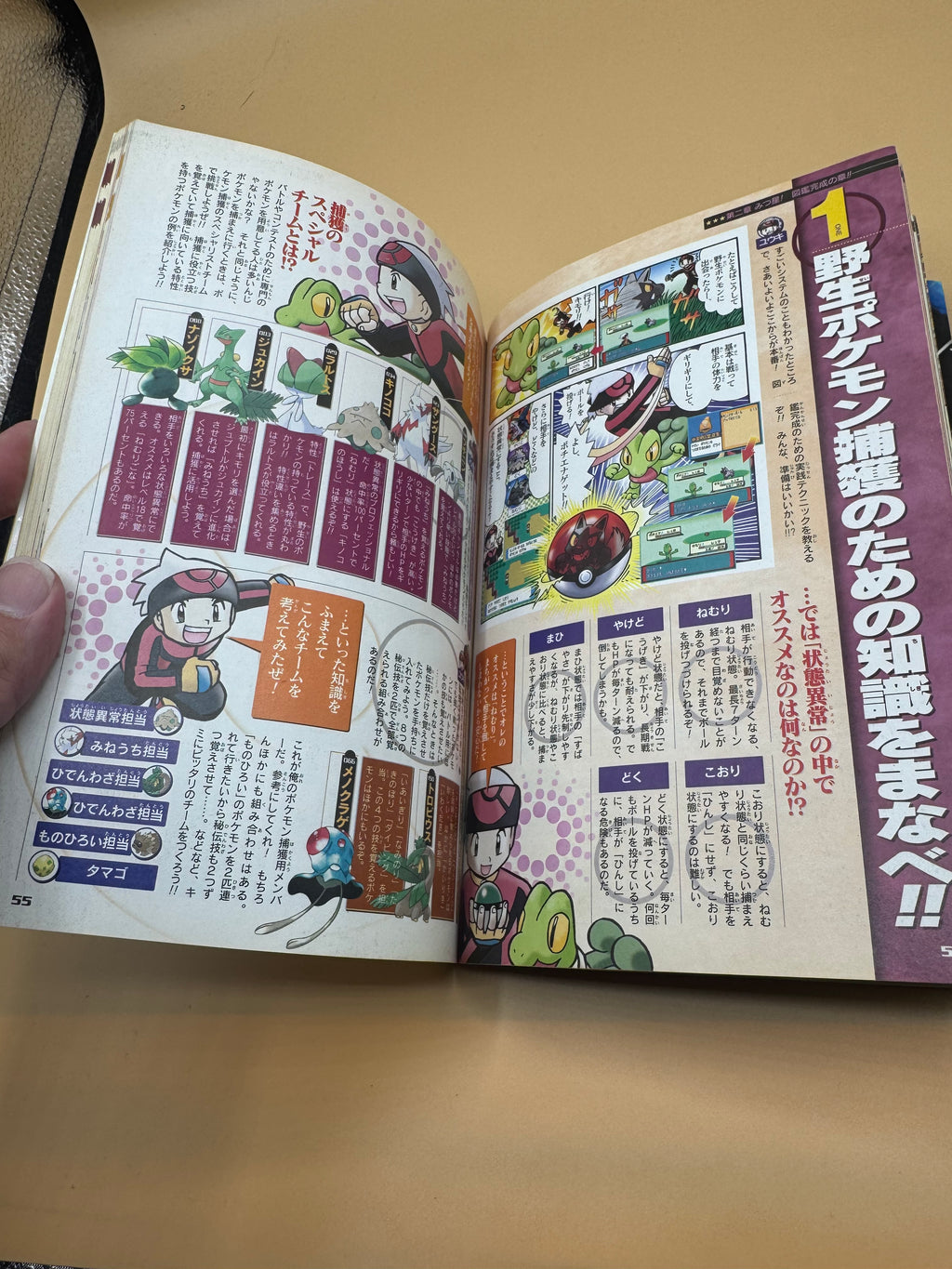 Vintage Pokémon Ruby & Sapphire Official Manga De Yomu 4-Star Strategy Book (Japanese import)