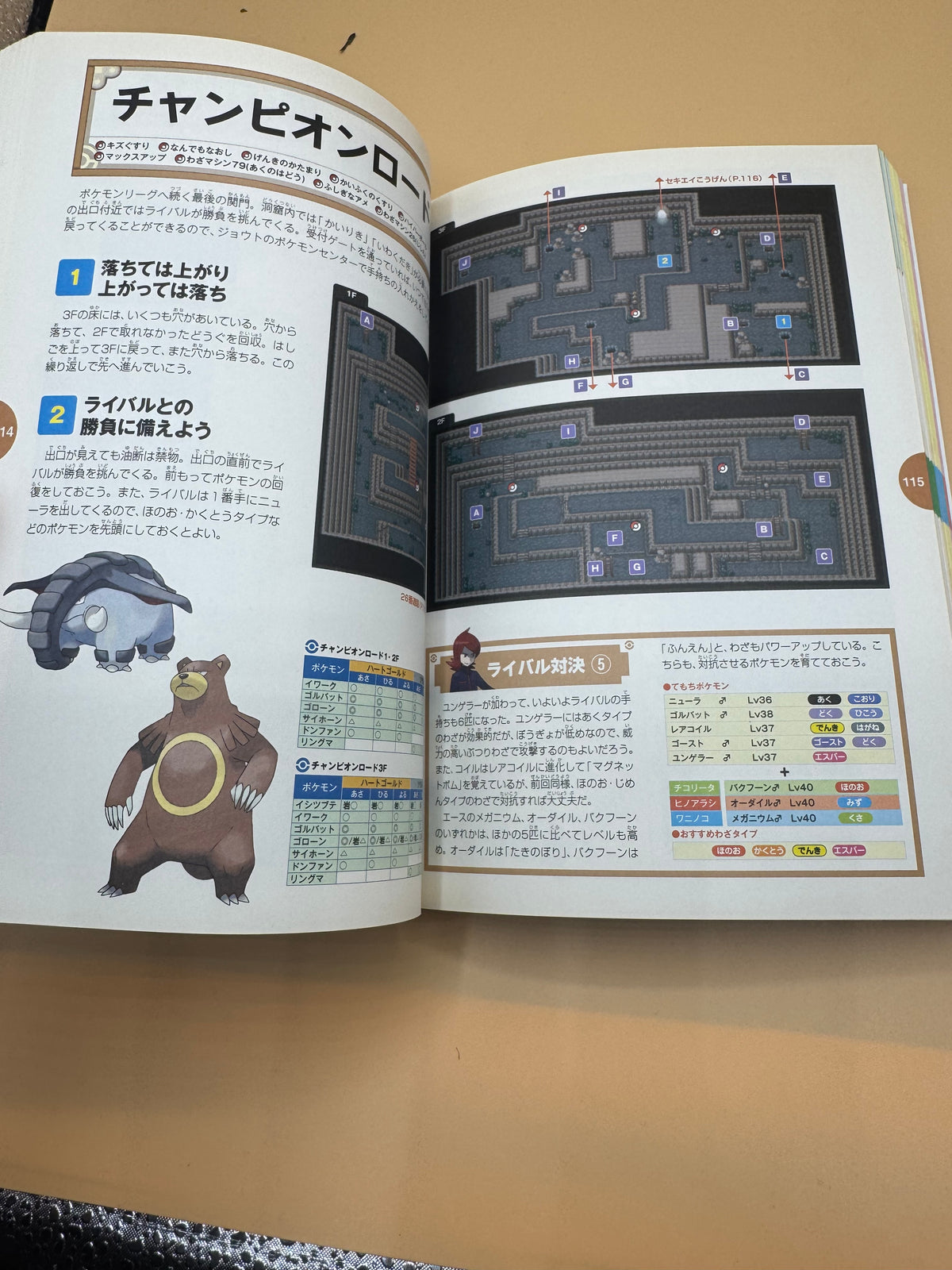 Pokémon HeartGold & SoulSilver Adventure Map & Pokémon Pokédex (Johto Edition) Nintendo Official Guide Book (Japanese import)