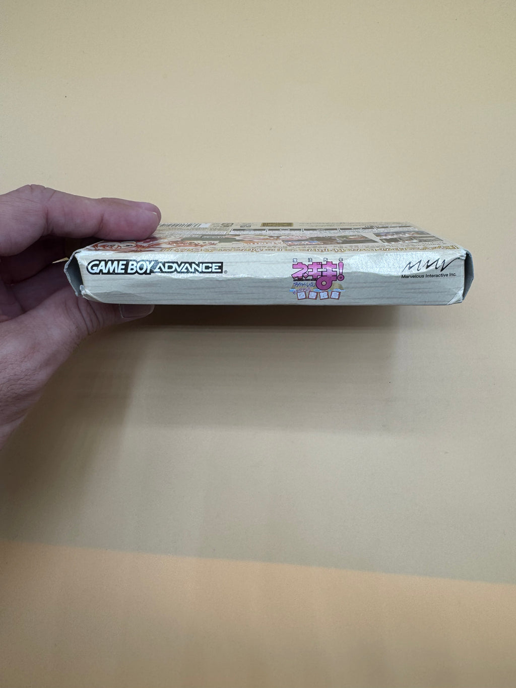 Mahou Sensei Negima! Private Lesson: Dame Desu Toshokan GBA (Japanese import) CiB