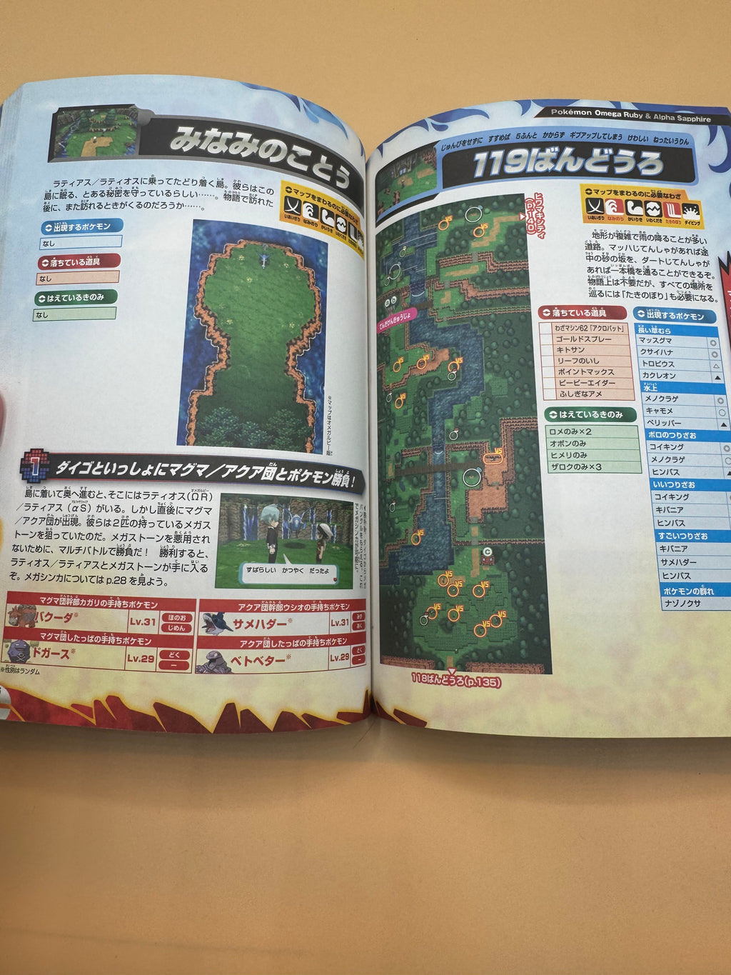 Pokémon Omega Ruby & Alpha Sapphire "Kantan Clear Guide" (Japanese import)