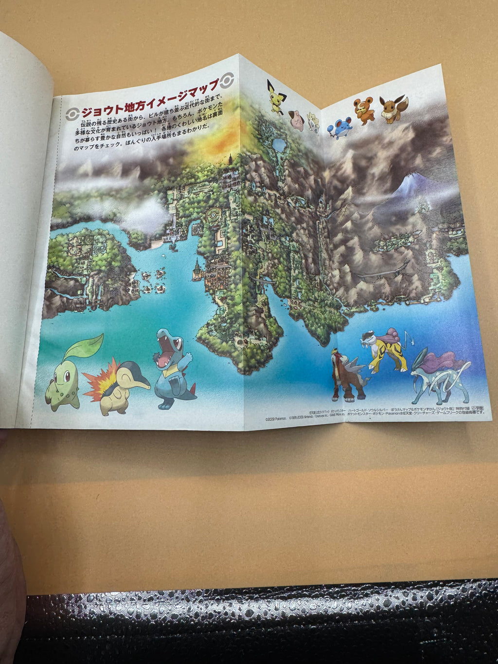 Pokémon HeartGold & SoulSilver Adventure Map & Pokémon Pokédex (Johto Edition) Nintendo Official Guide Book (Japanese import)
