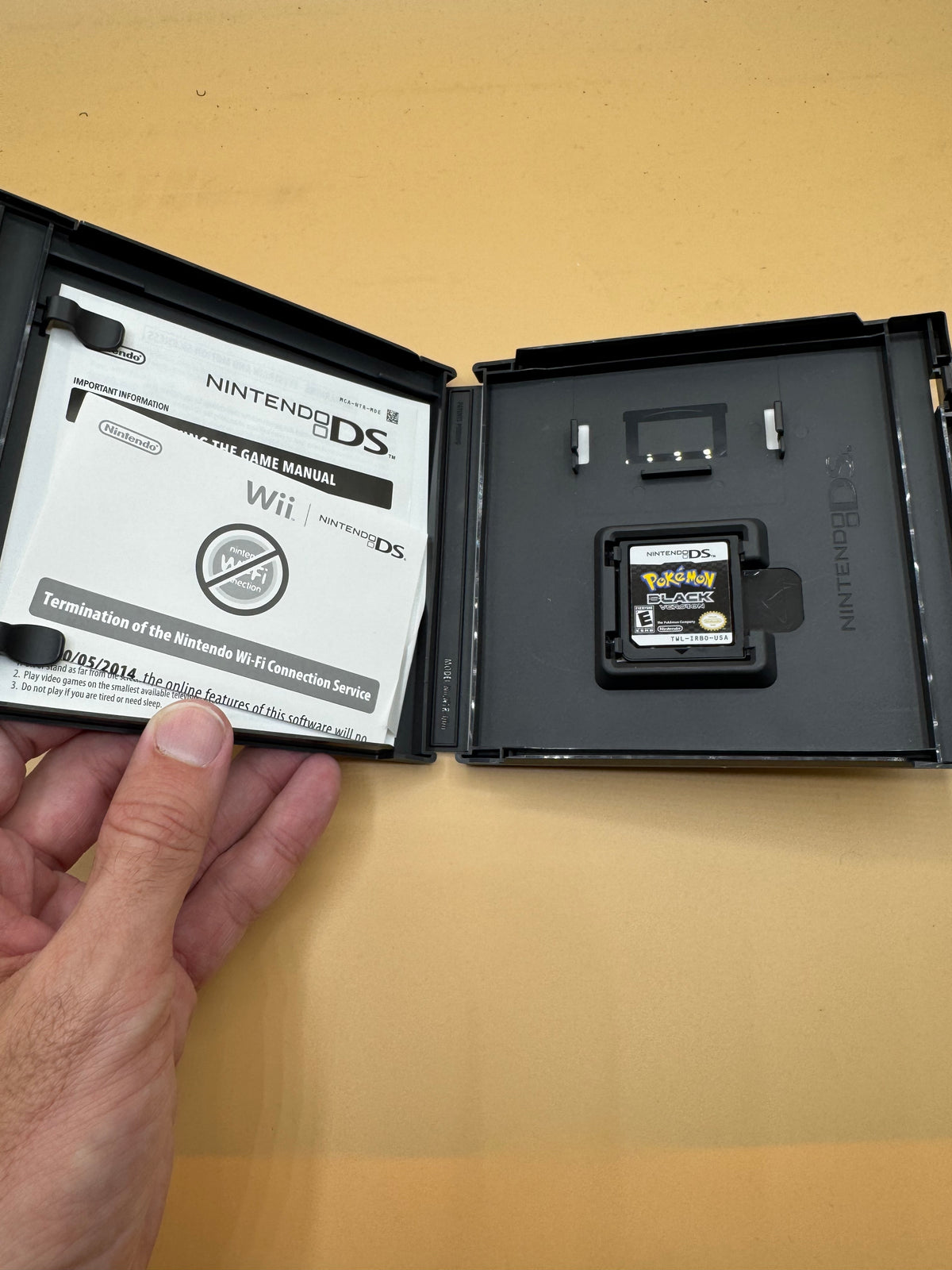 Pokémon Black Version