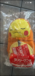 Pokémon Pikachu cosplay Charizard plushie (Japanese import)