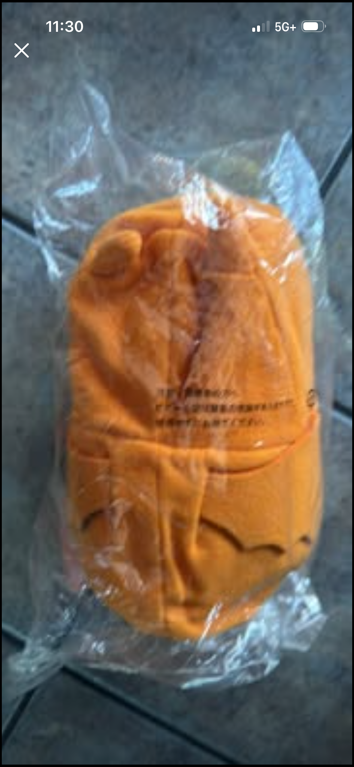 Pokémon Pikachu cosplay Charizard plushie (Japanese import)