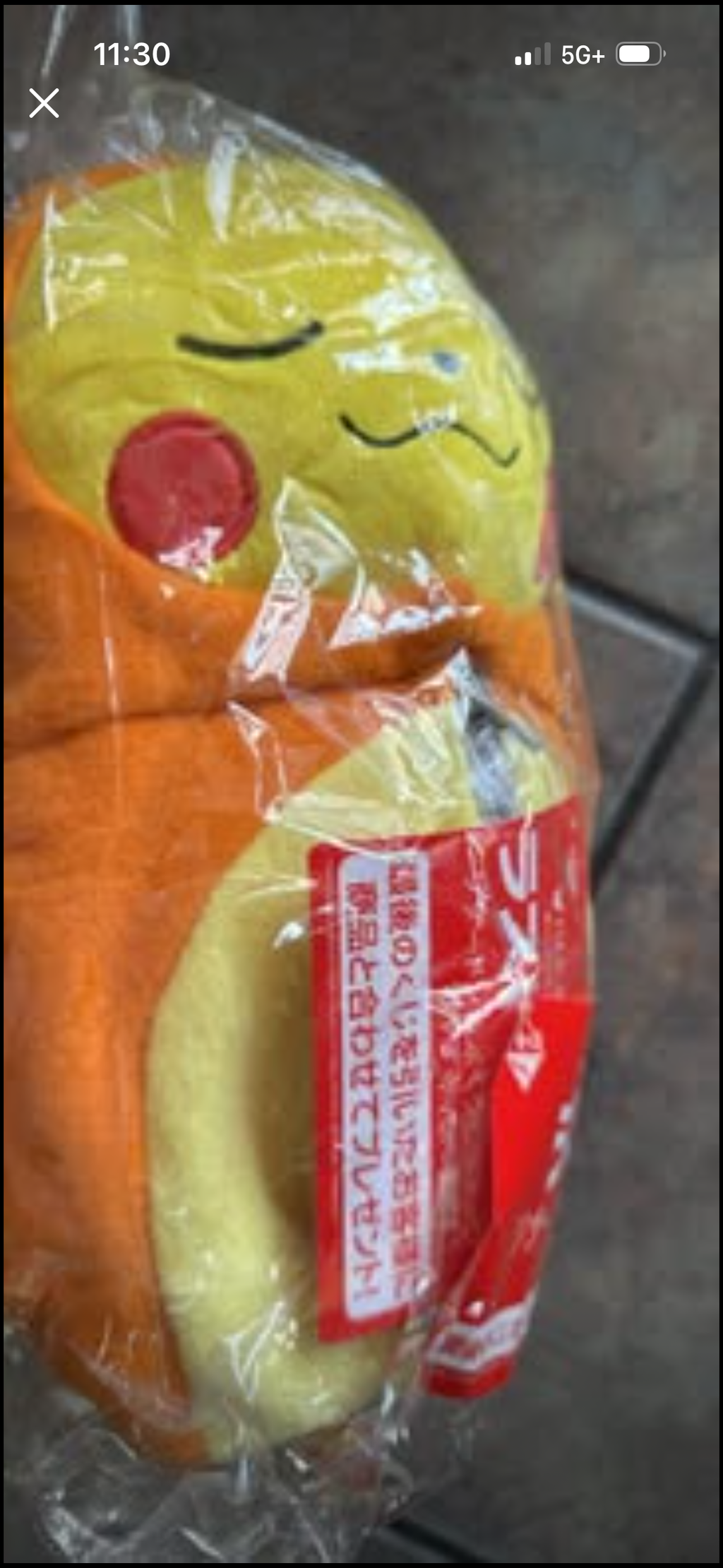 Pokémon Pikachu cosplay Charizard plushie (Japanese import)