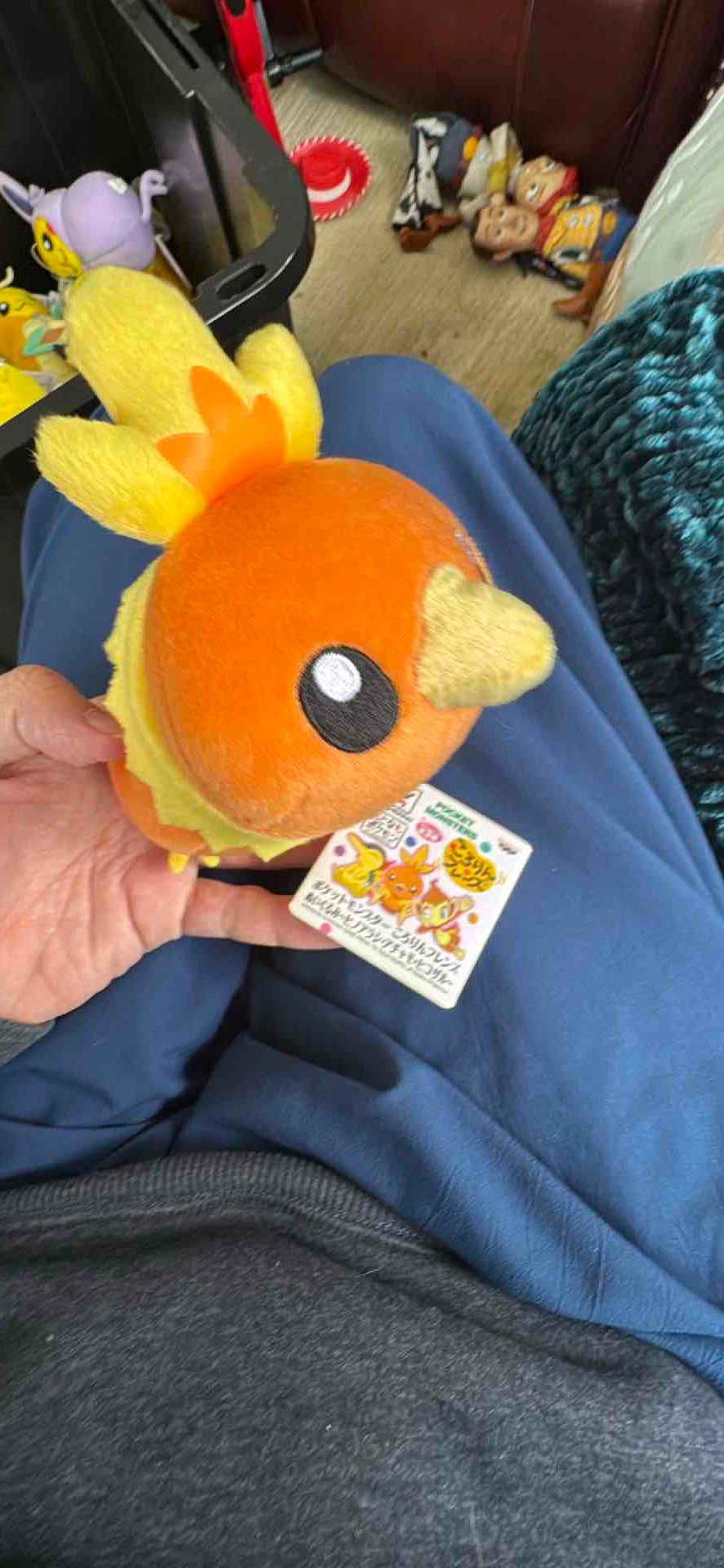 Torchic Pokemon Plush
